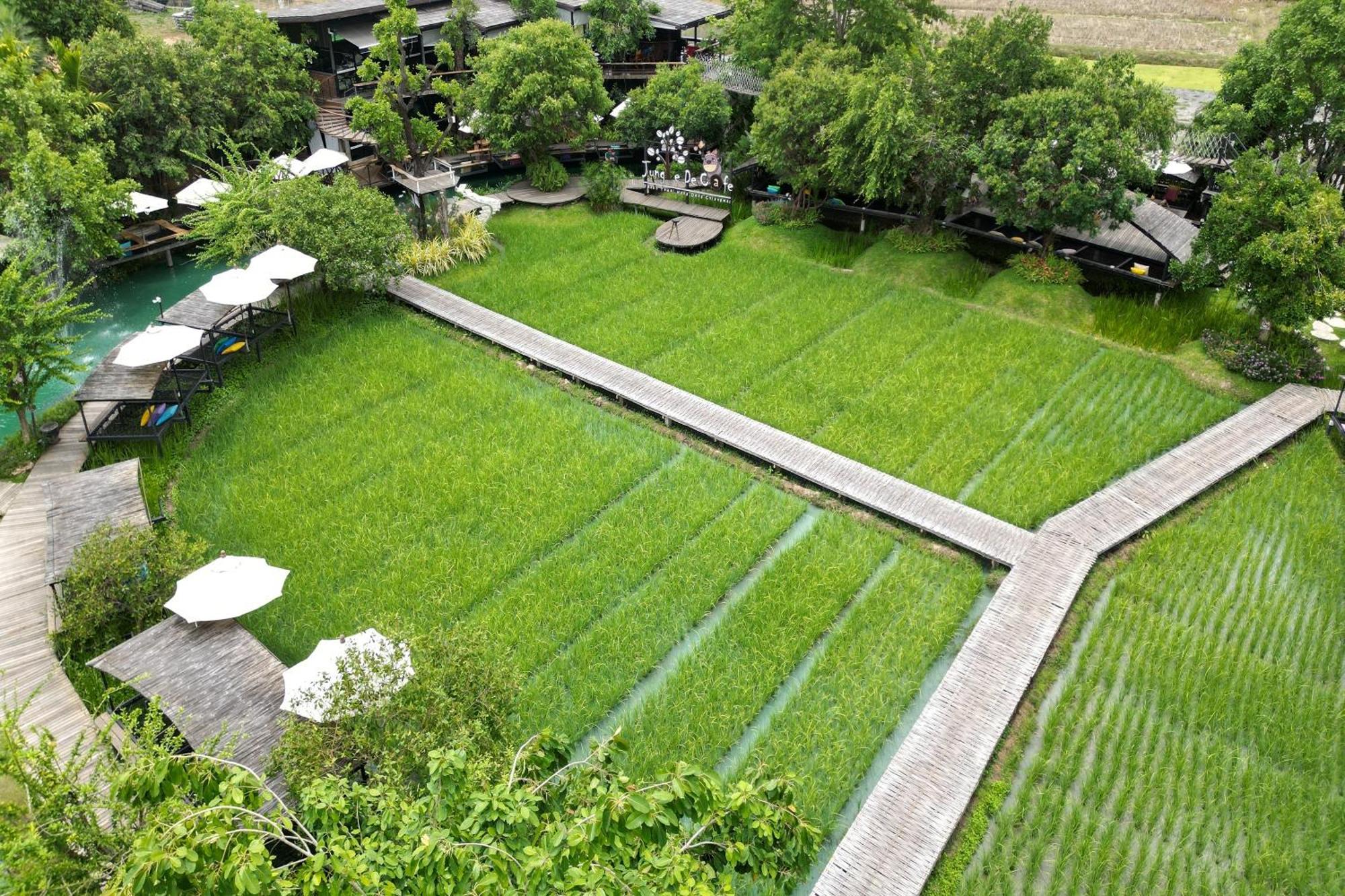 Tongna Cottage Natural Resort Chiang Mai Buitenkant foto