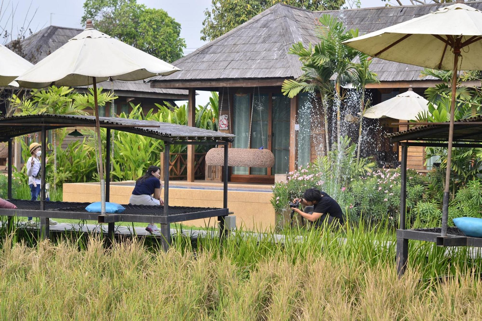 Tongna Cottage Natural Resort Chiang Mai Buitenkant foto