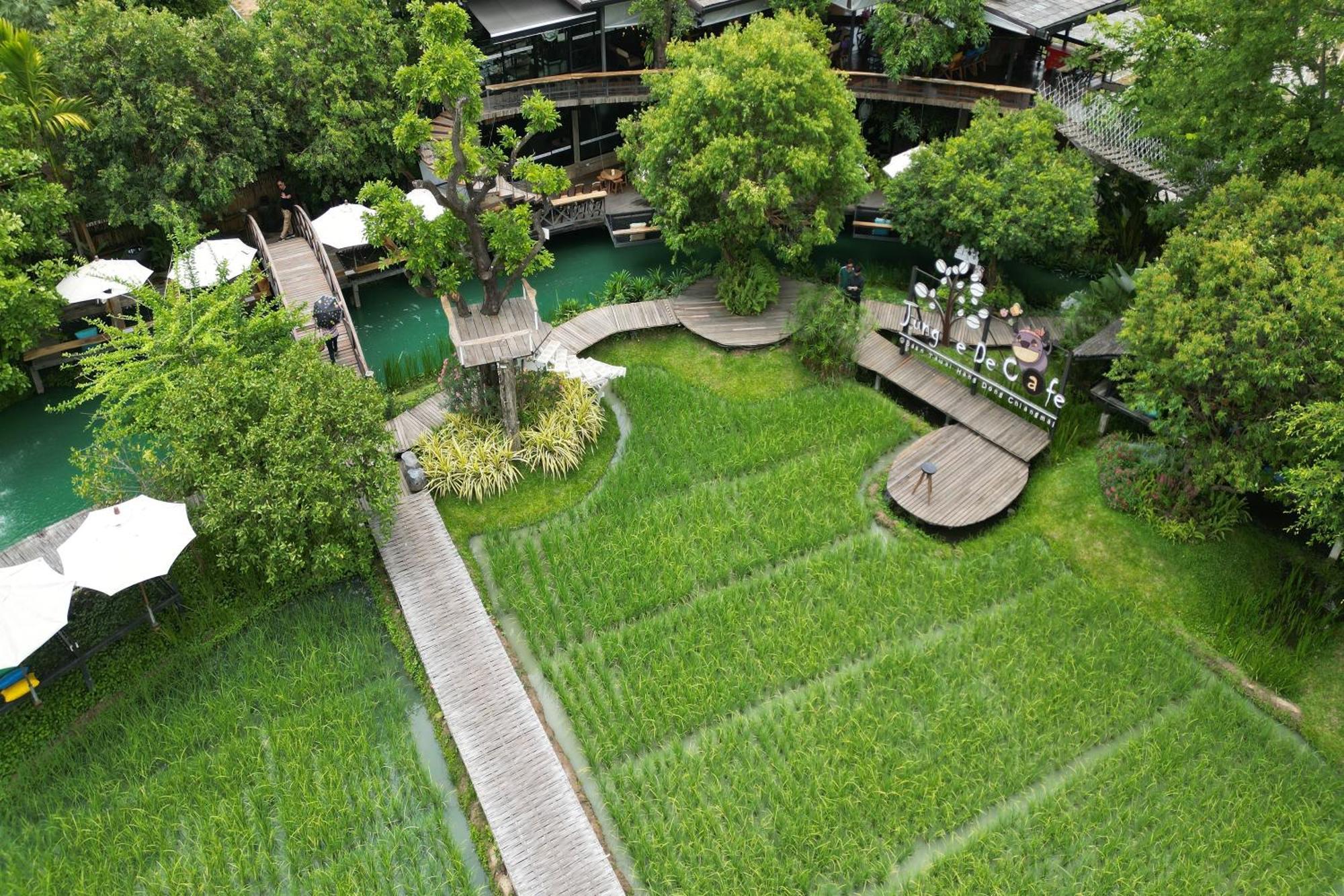 Tongna Cottage Natural Resort Chiang Mai Buitenkant foto